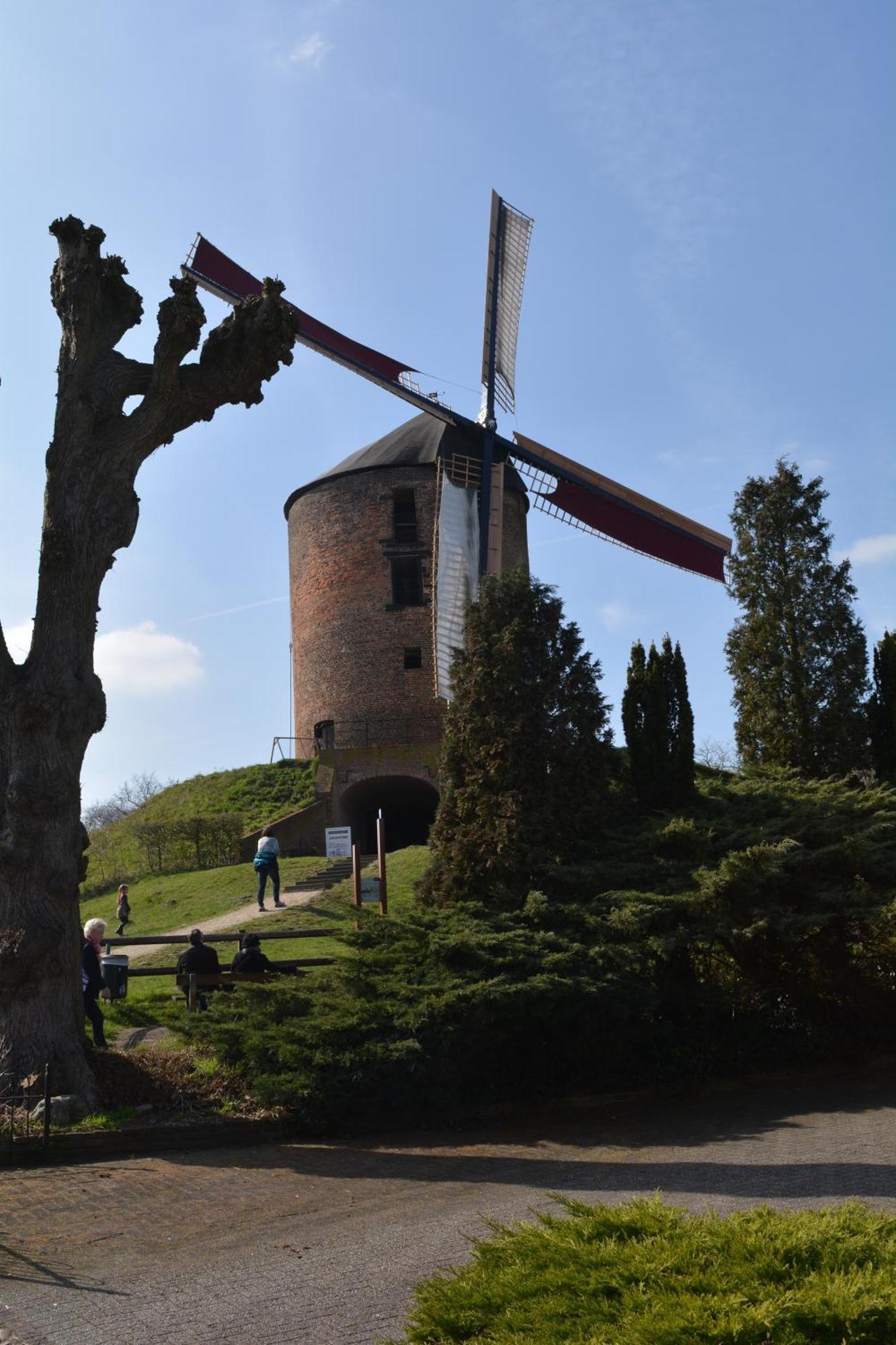 Beekse Brink Panzió Loerbeek Kültér fotó